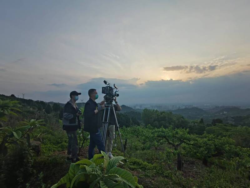 创意破圈！高港区电商产品宣传视频用故事化叙事引爆流量