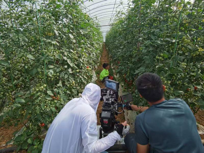 高港区产品宣传视频拍摄公司进阶指南，助力品牌抢占传播高地